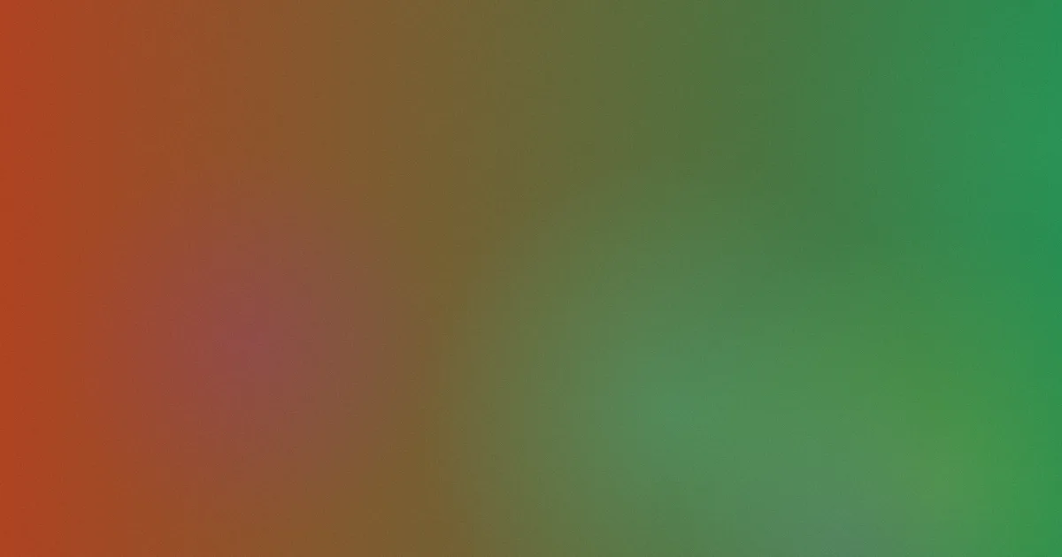 张安琪推荐新手指南